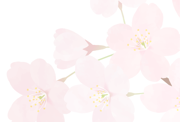お問い合わせ(入力画面)