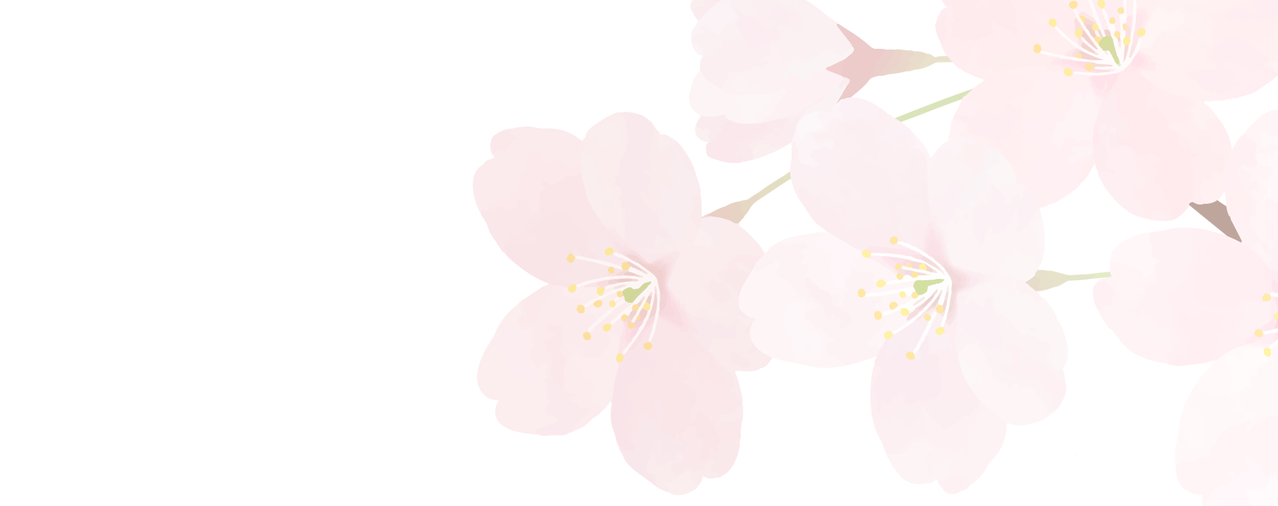 お問い合わせ(入力画面)