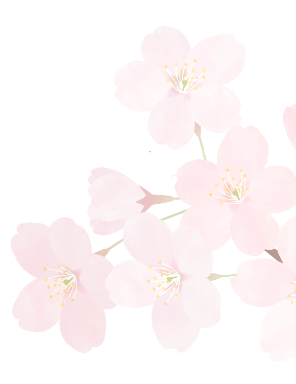 採用情報検索結果