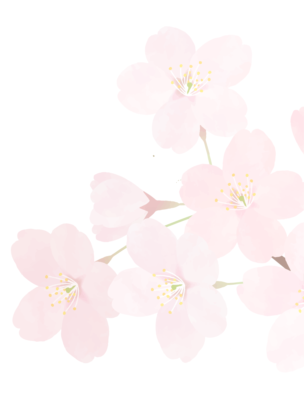 採用情報検索結果