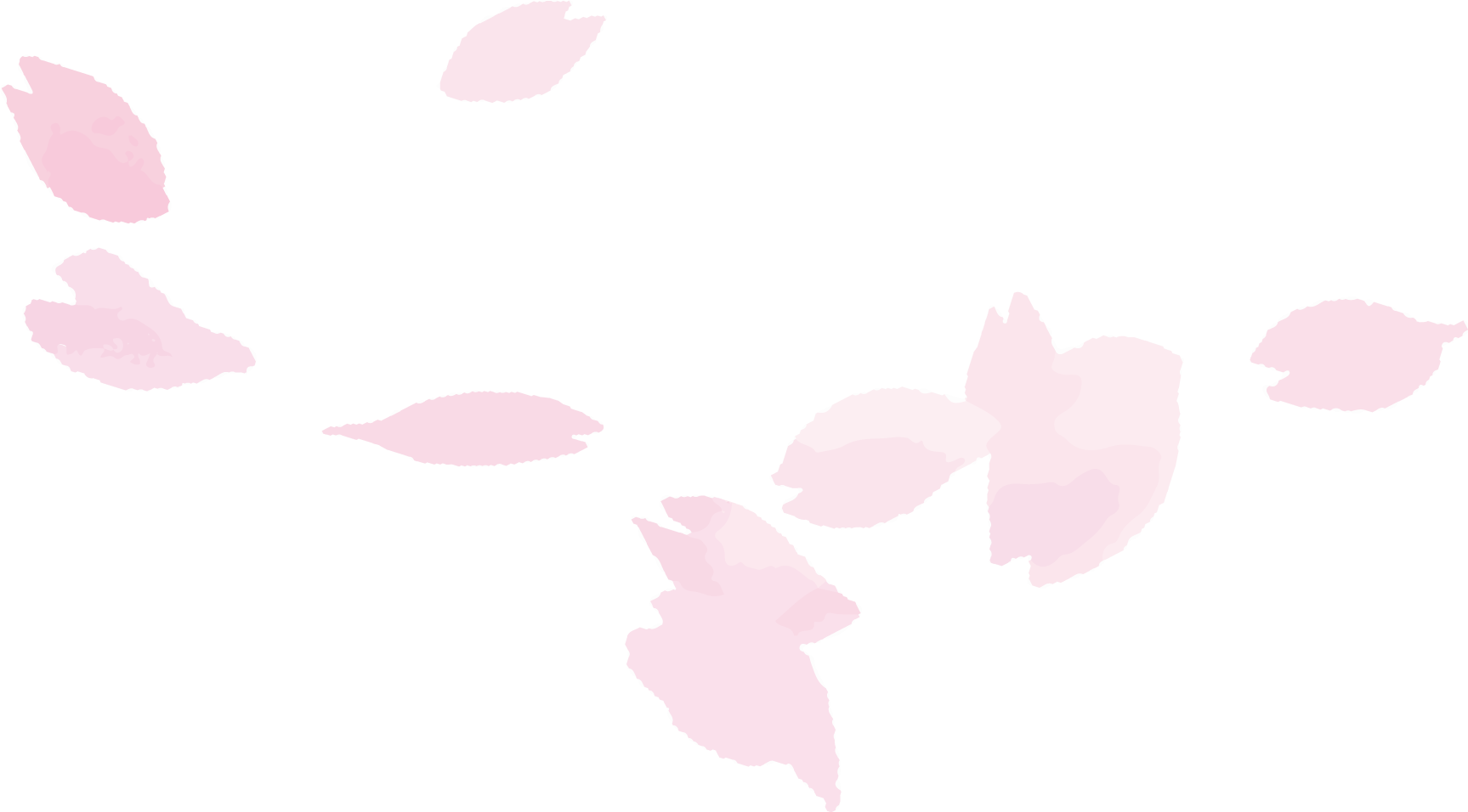 デイサービスプラン