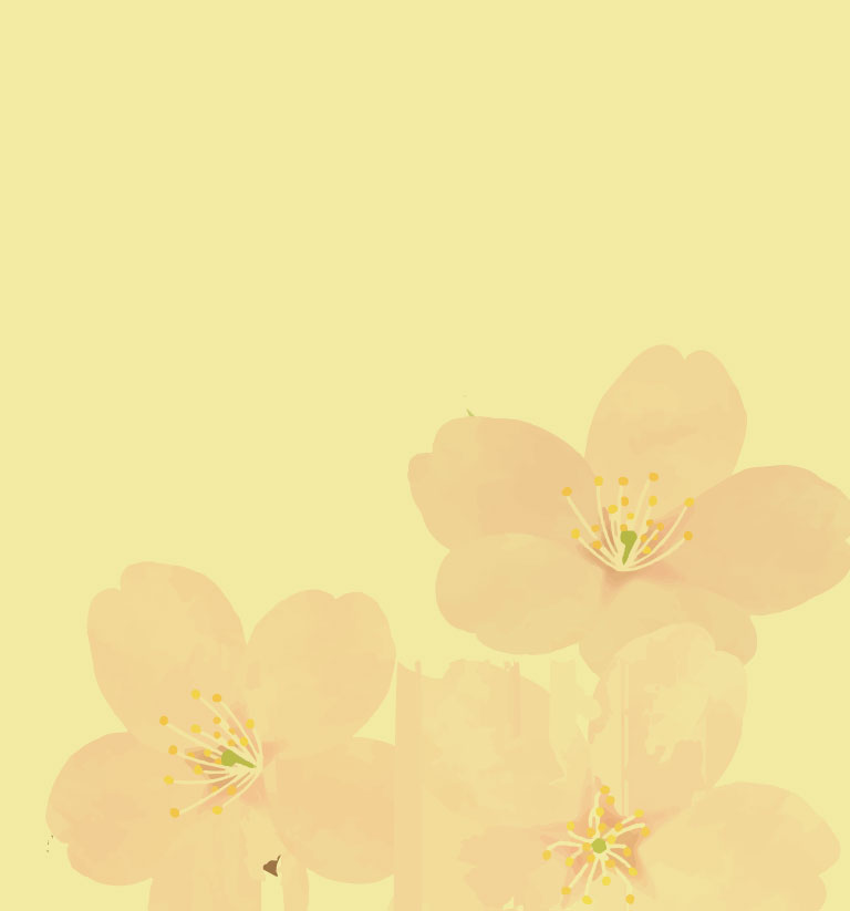 訪問介護プラン