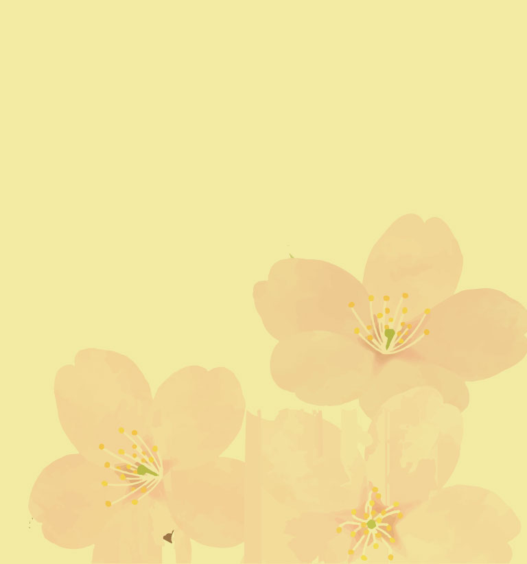 訪問介護プラン