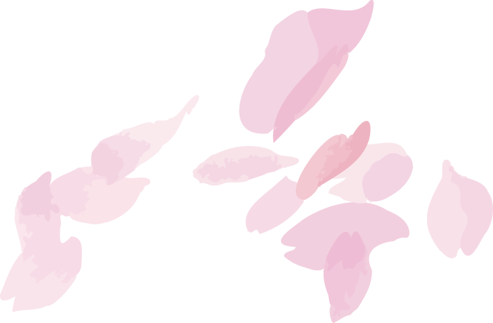 訪問介護プラン