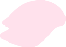 訪問介護プラン