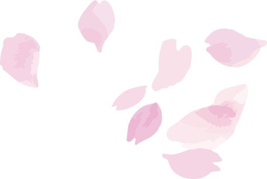 訪問介護プラン