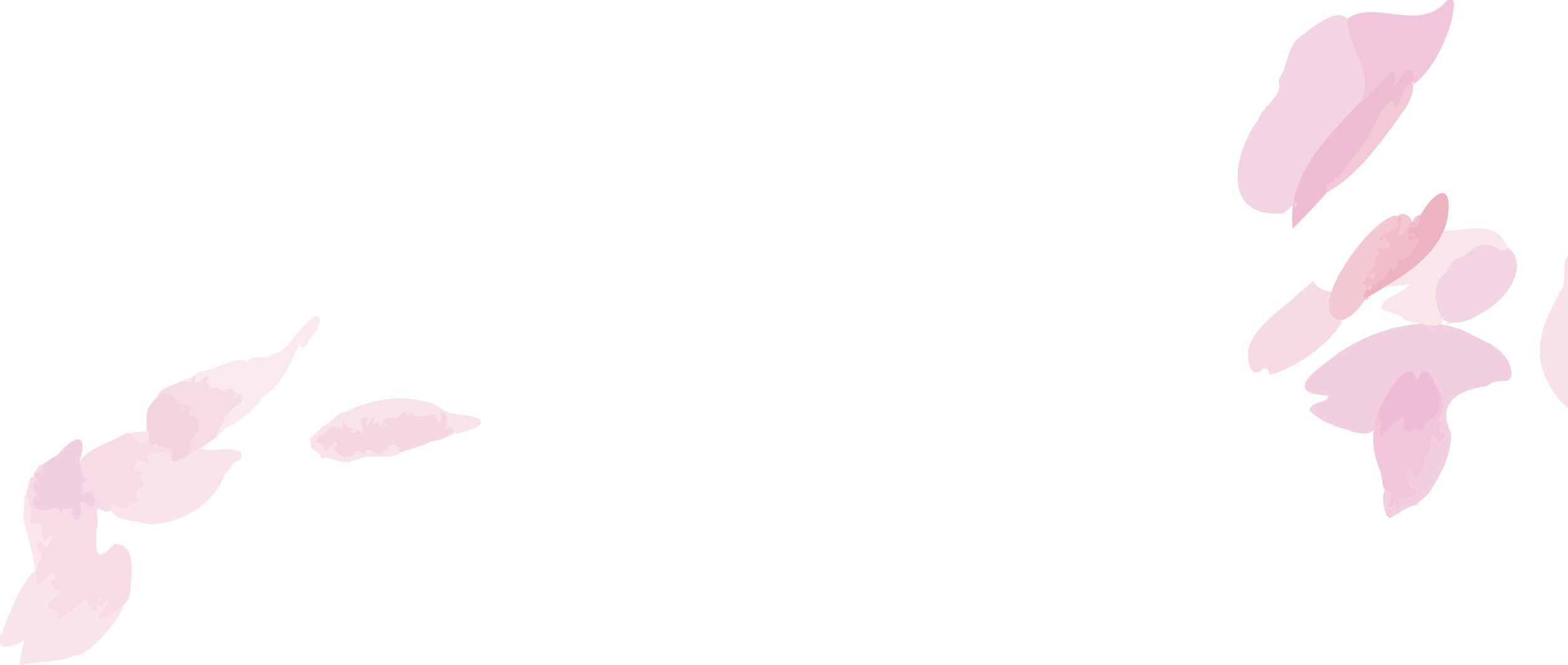 訪問介護プラン