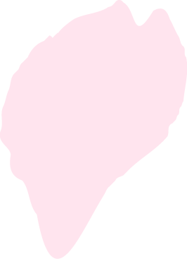 訪問介護プラン