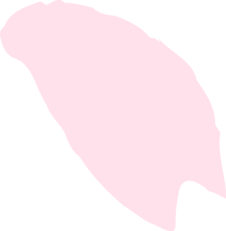 訪問介護プラン