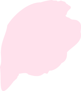 訪問介護プラン