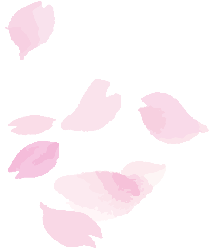 訪問介護プラン