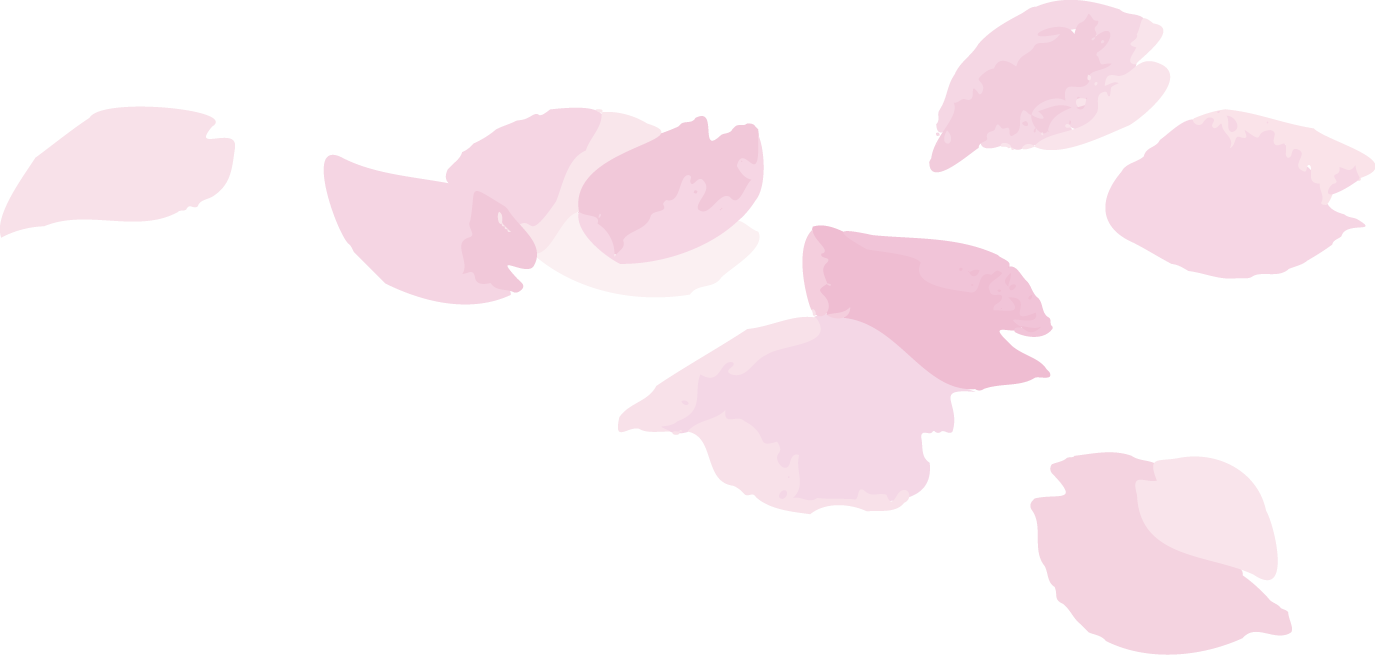 訪問介護プラン