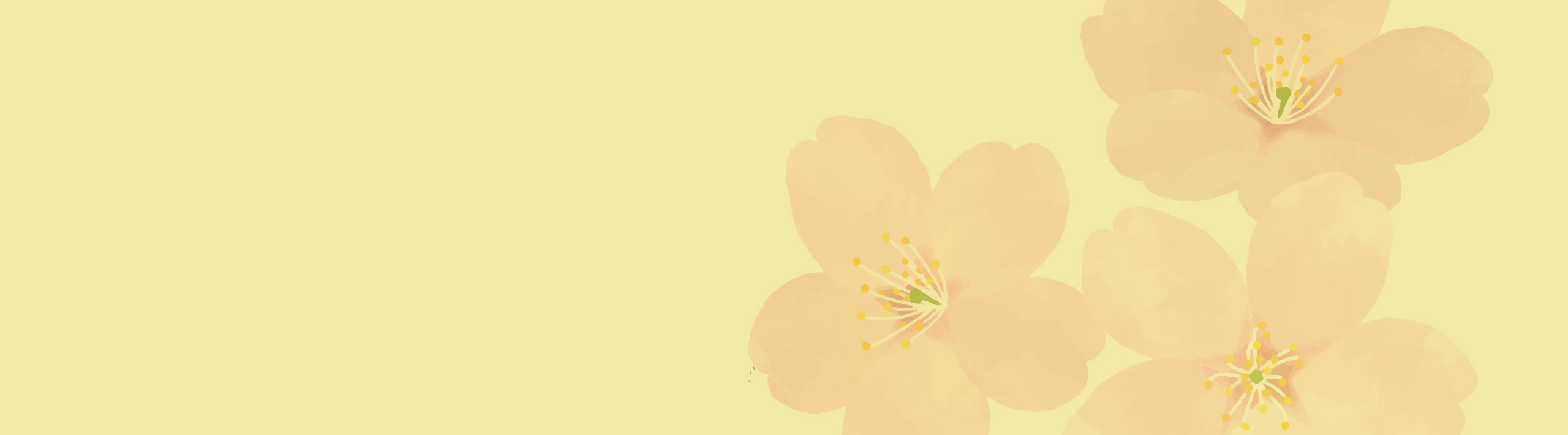 訪問介護プラン