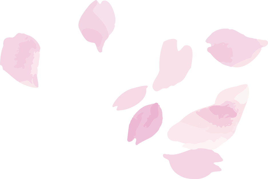 訪問介護プラン