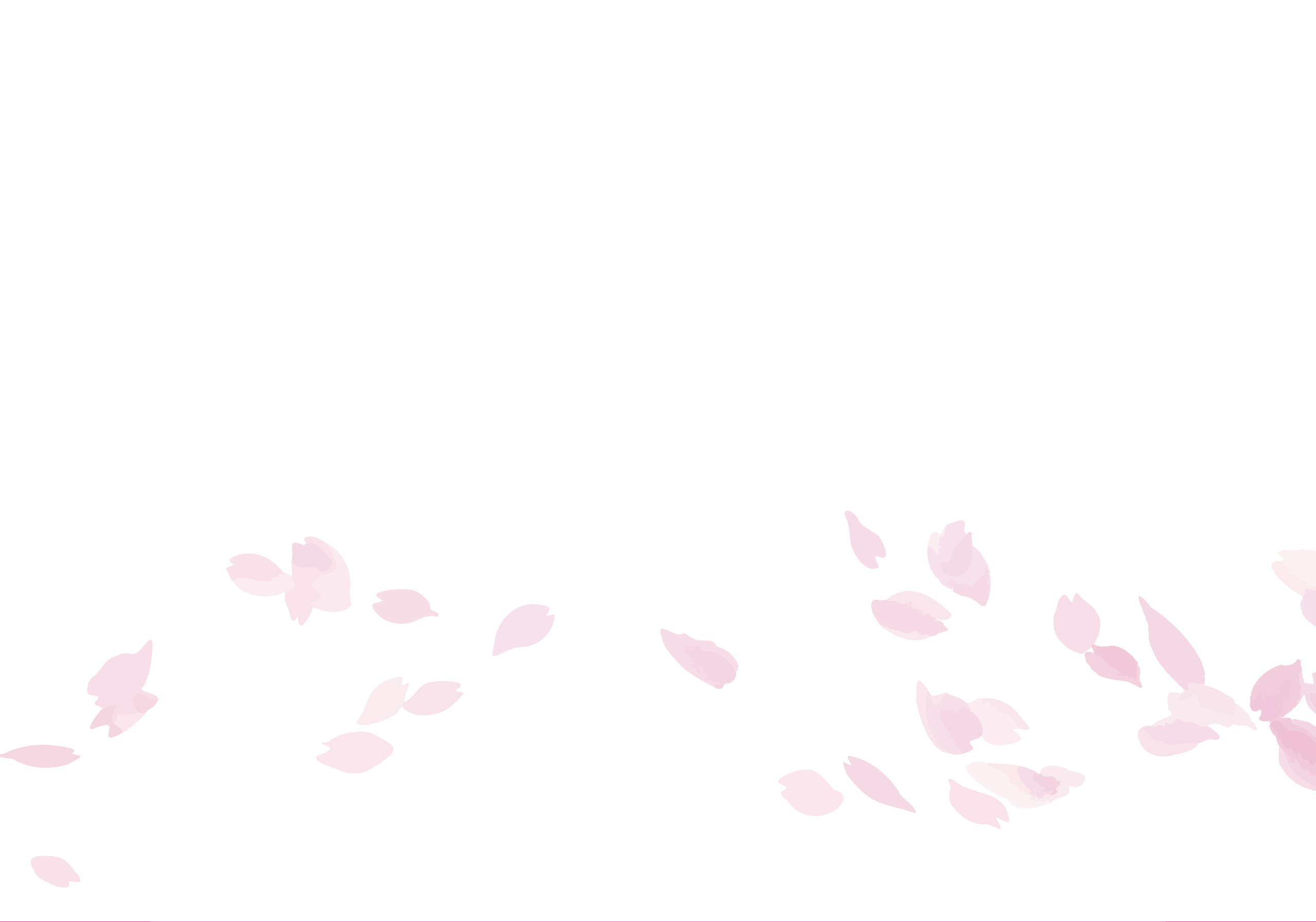 桜アニメーション