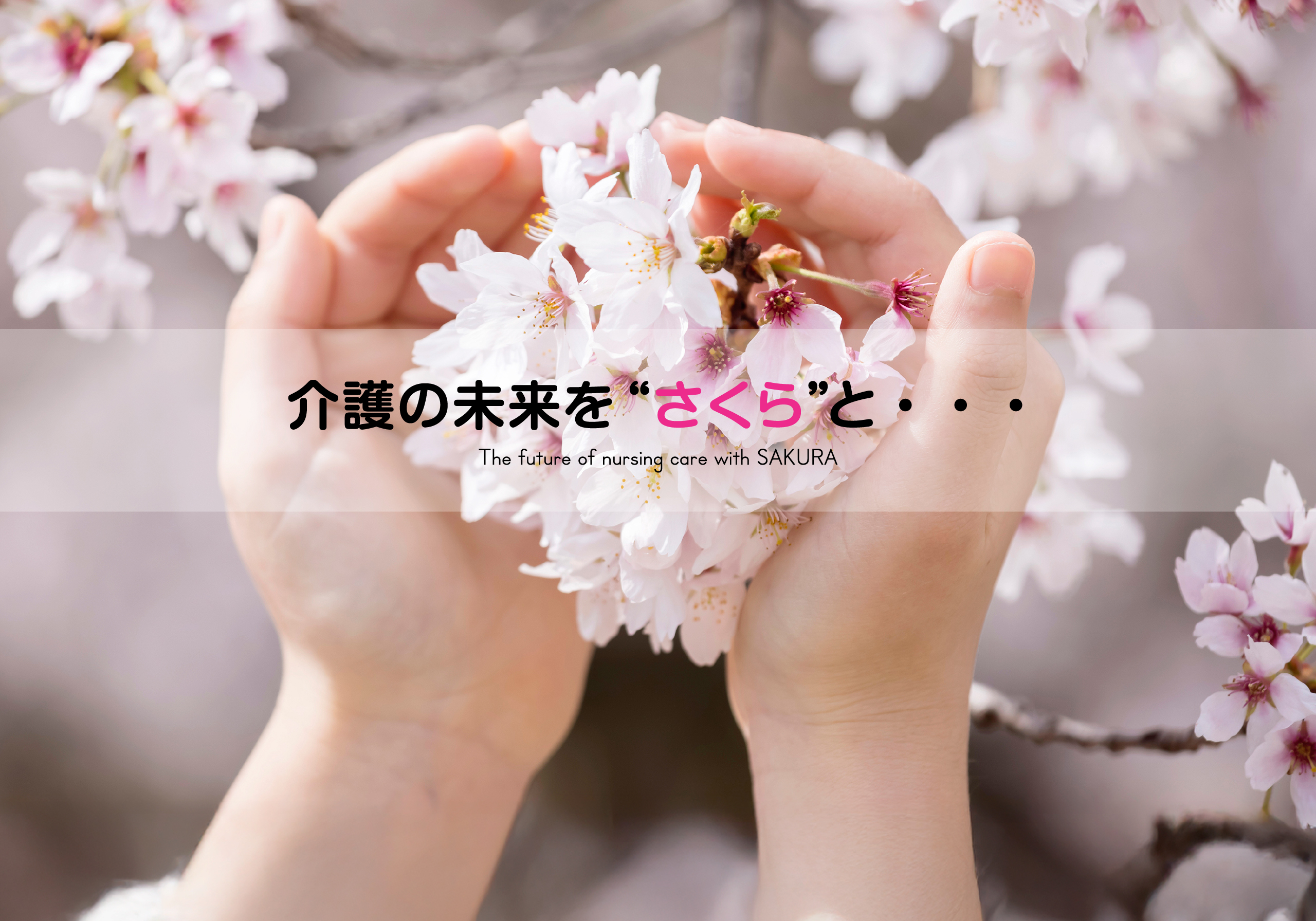 さくら介護グループ｜さくら介護グループ